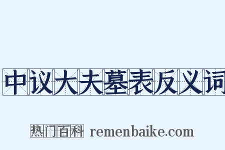 中议大夫墓表反义词是什么意思的图片